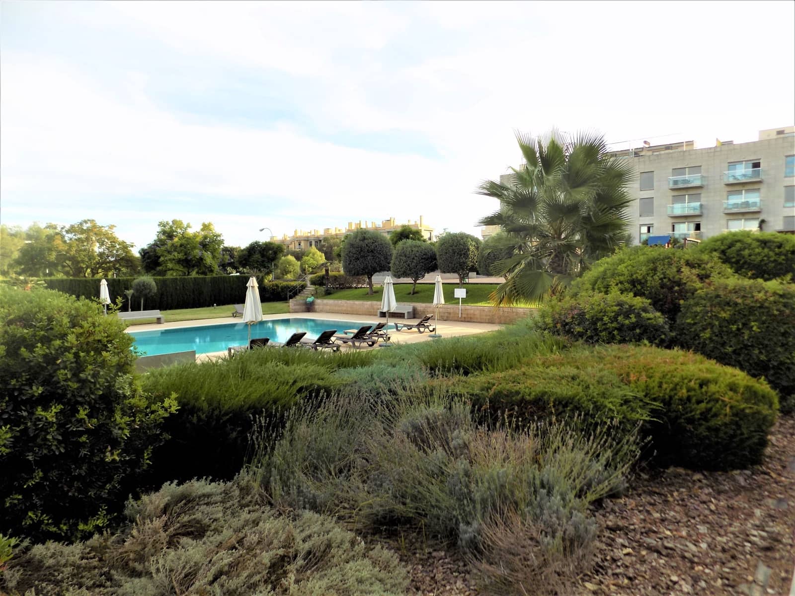 3 Zimmer Penthouse zu verkaufen in Palma de Mallorca mit Pool - 900.000 € (Ref: 9769946)