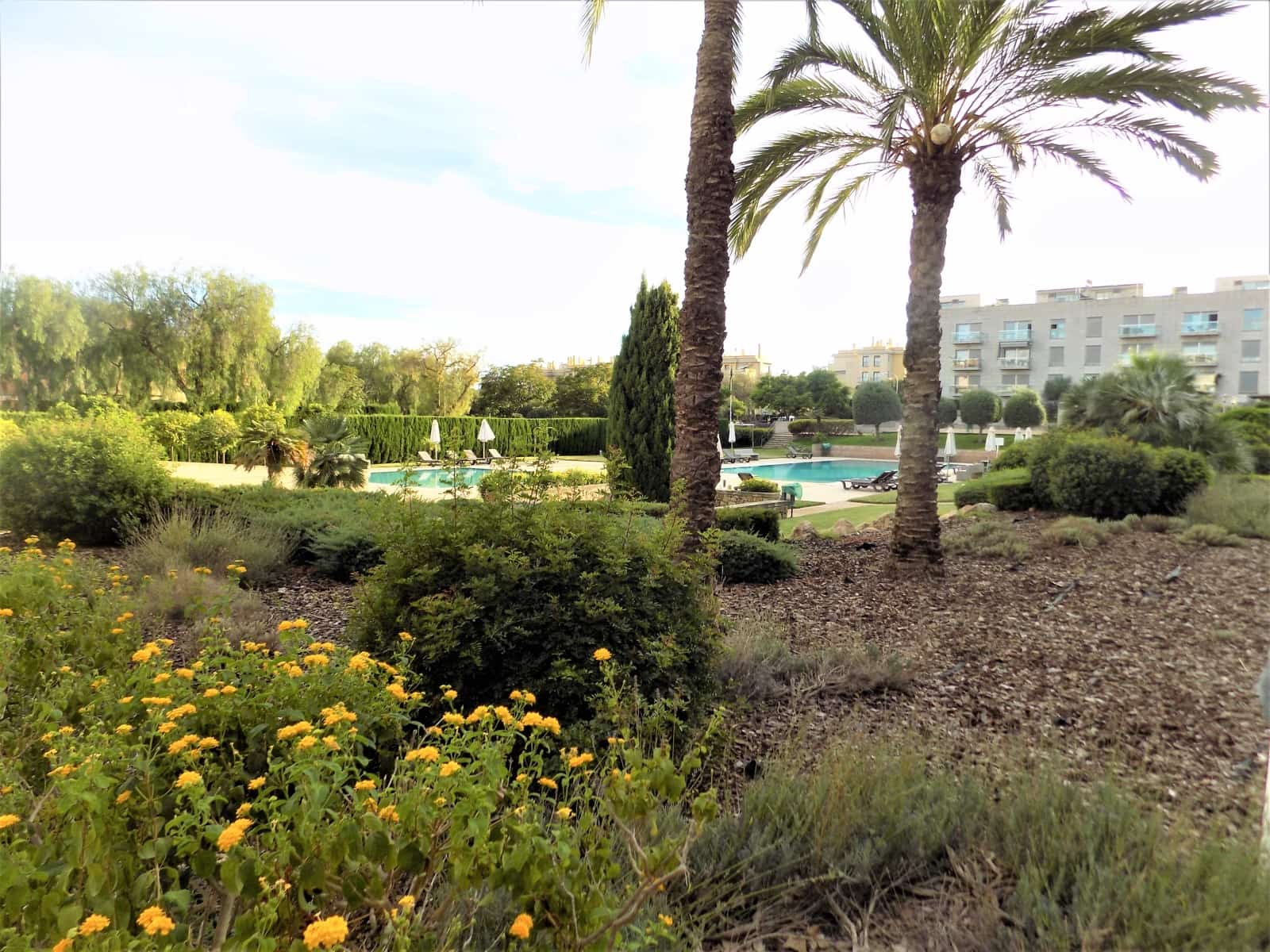 3 Zimmer Penthouse zu verkaufen in Palma de Mallorca mit Pool - 900.000 € (Ref: 9769946)