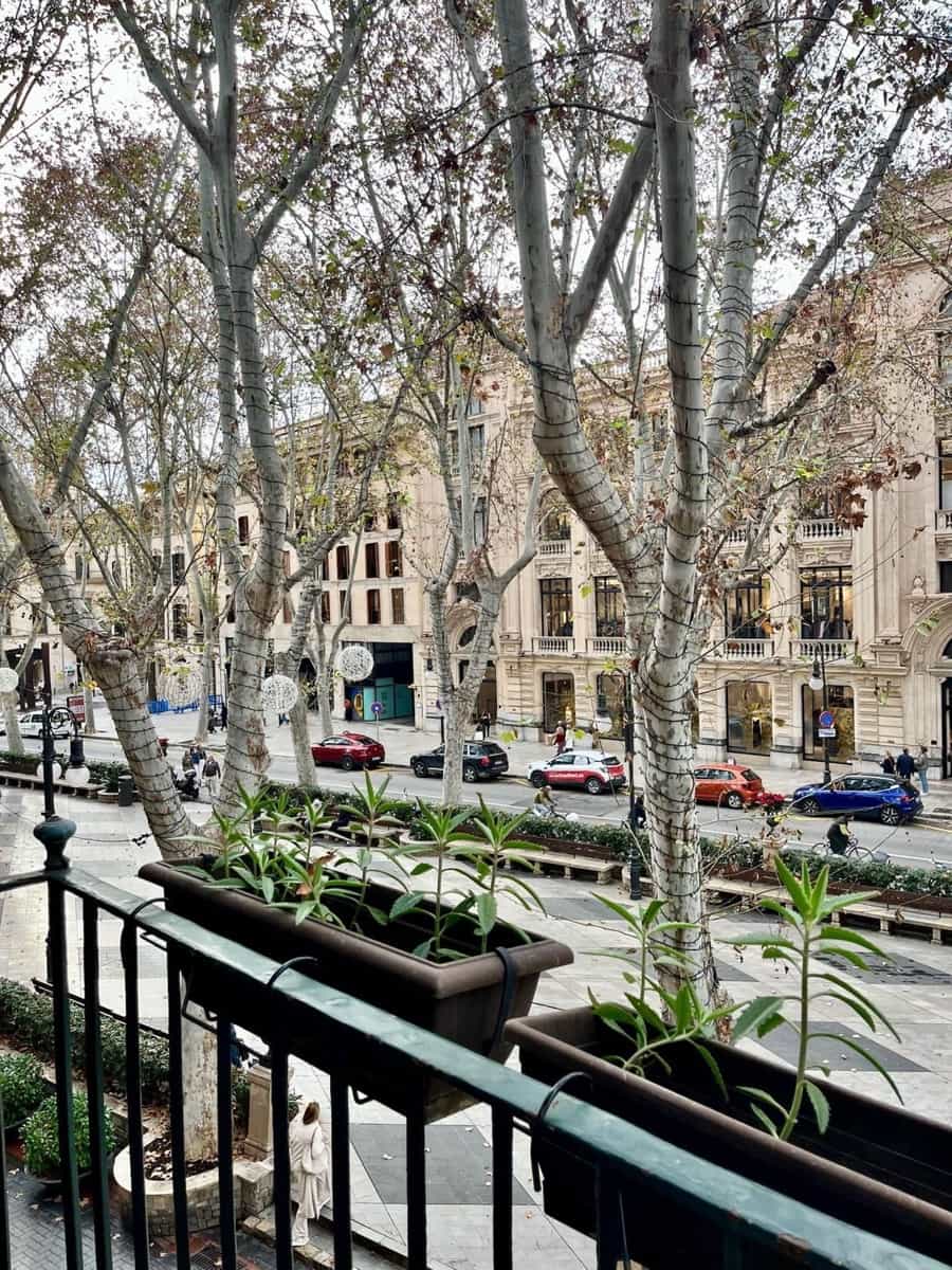 1 soverom Leilighet til leie i Palma de Mallorca - € 2 500 (Ref: 9789946)