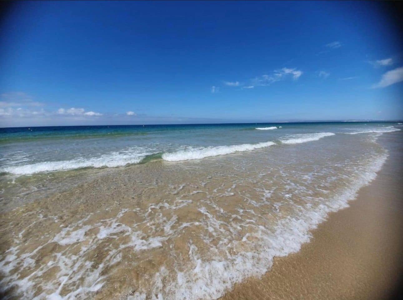 3 sovrum Lägenhet till salu i Barbate med pool - 475 000 € (Ref: 9803799)