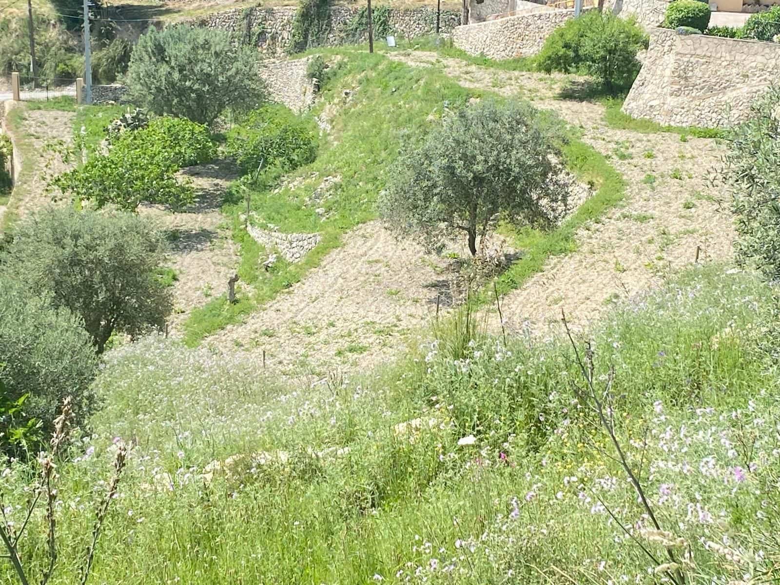 4 bedroom Townhouse for sale in Galilea - € 370,000 (Ref: 9804832)