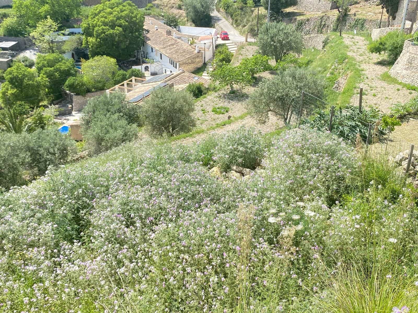 4 bedroom Townhouse for sale in Galilea - € 370,000 (Ref: 9804832)