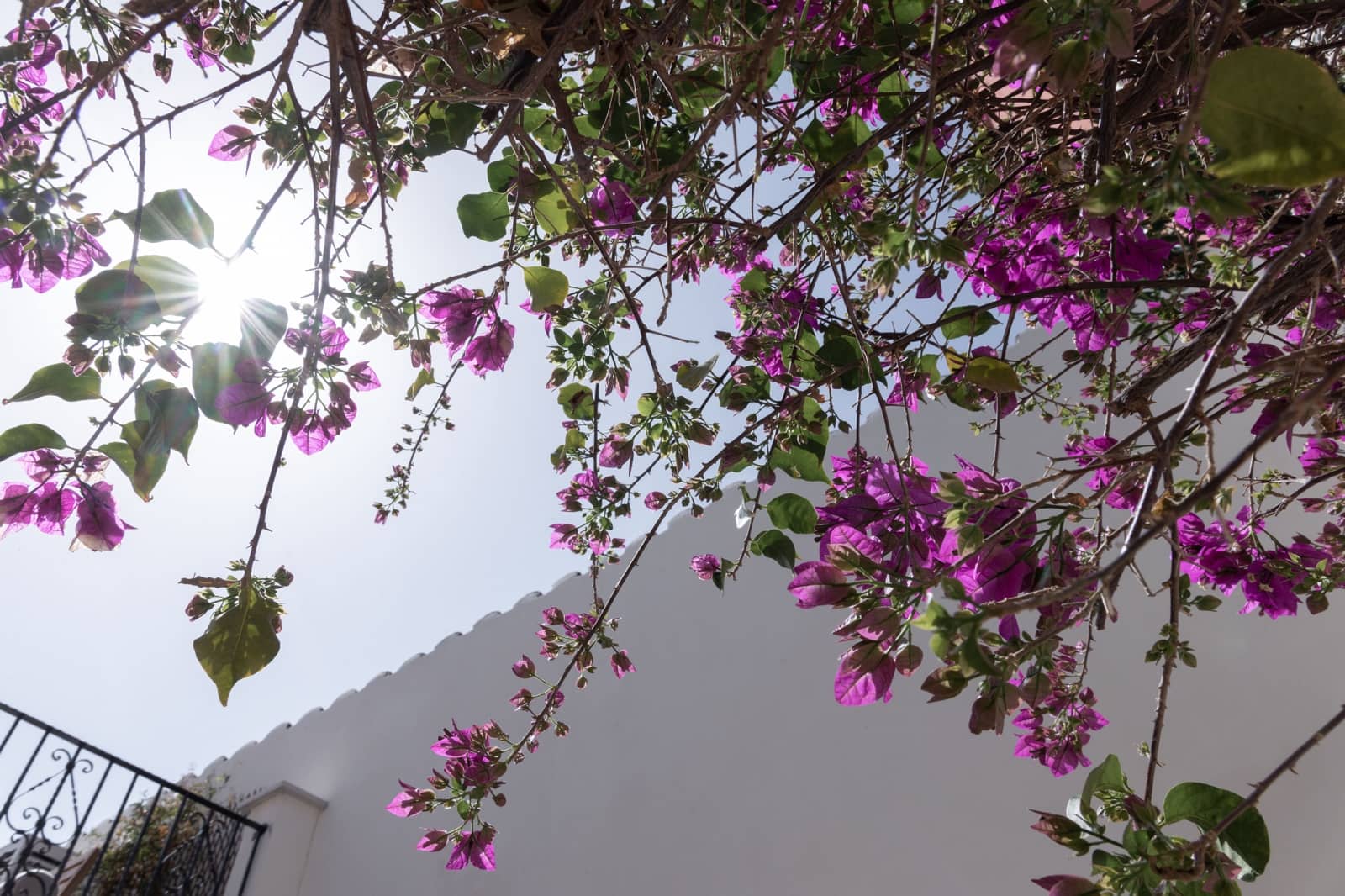 2 Zimmer Haus zu verkaufen in Palma de Mallorca - 755.000 € (Ref: 9816610)