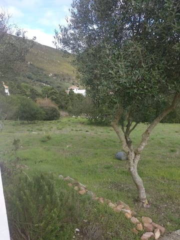 Byggegrund til salg i Tarifa - € 495.000 (Ref: 9818189)