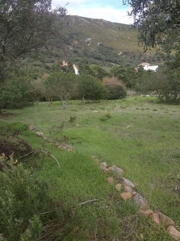 Byggegrund til salg i Tarifa - € 495.000 (Ref: 9818189)
