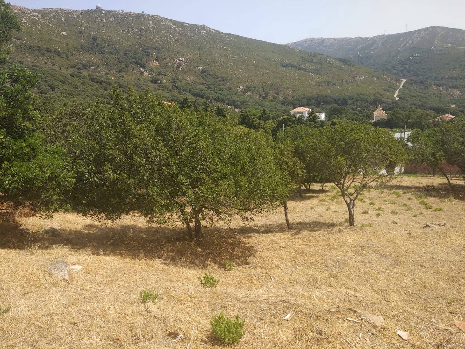 Byggegrund til salg i Tarifa - € 495.000 (Ref: 9818189)
