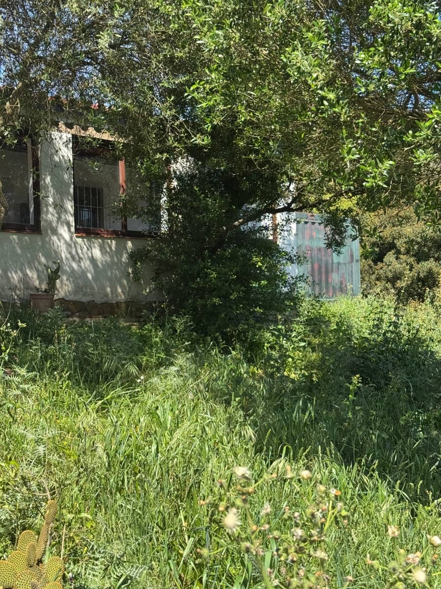 Byggegrund til salg i Tarifa - € 495.000 (Ref: 9818189)