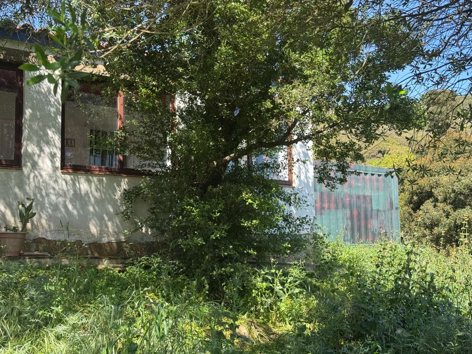Byggegrund til salg i Tarifa - € 495.000 (Ref: 9818189)