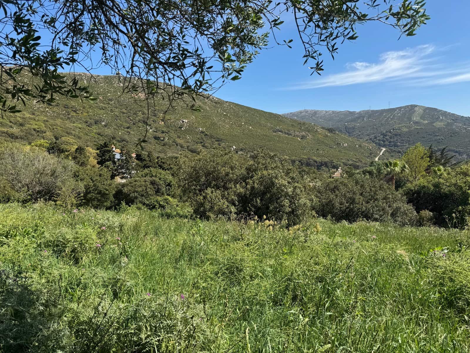 Byggegrund til salg i Tarifa - € 495.000 (Ref: 9818189)