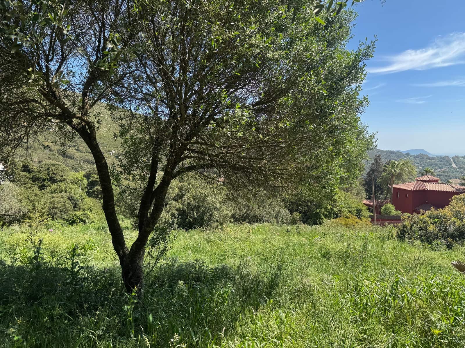 Byggegrund til salg i Tarifa - € 495.000 (Ref: 9818189)