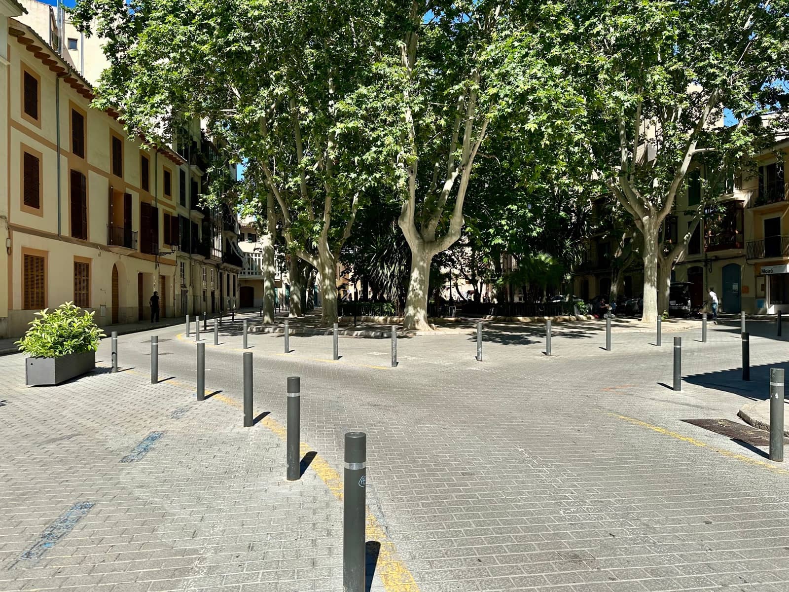 2 bedroom Apartment for rent in Palma de Mallorca - € 2,250 (Ref: 9833018)