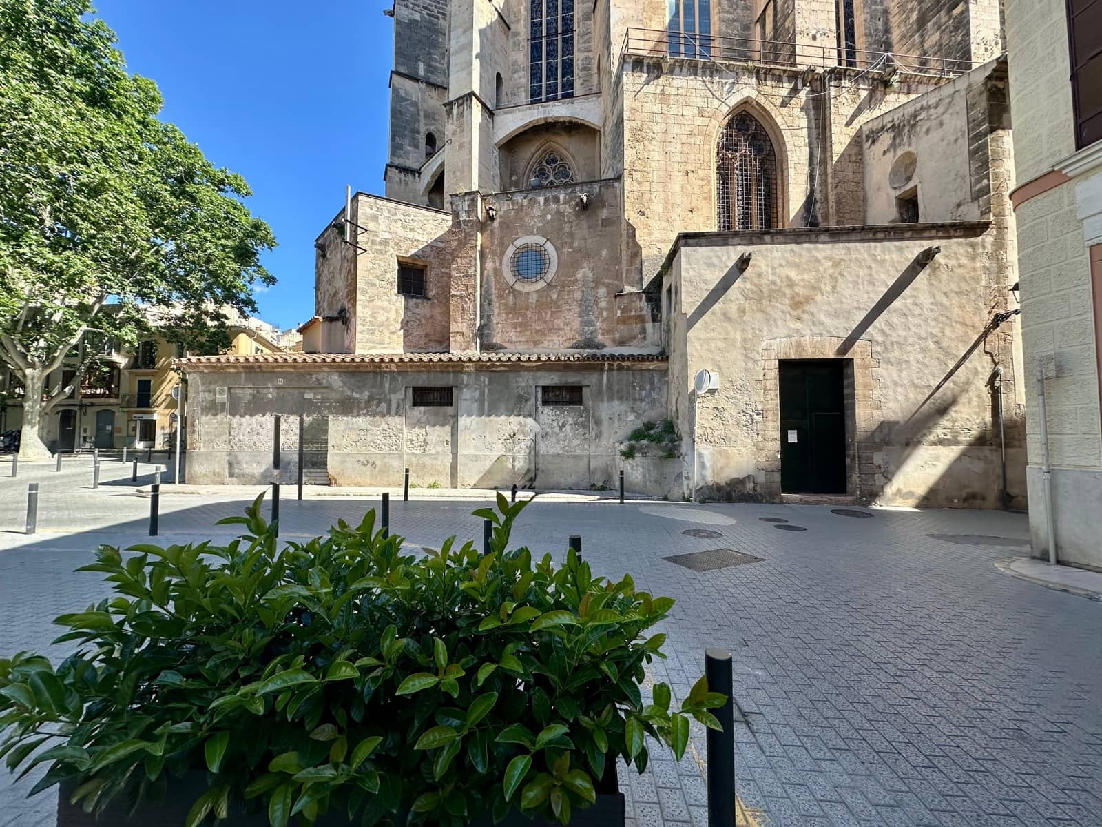 2 bedroom Apartment for rent in Palma de Mallorca - € 2,250 (Ref: 9833018)