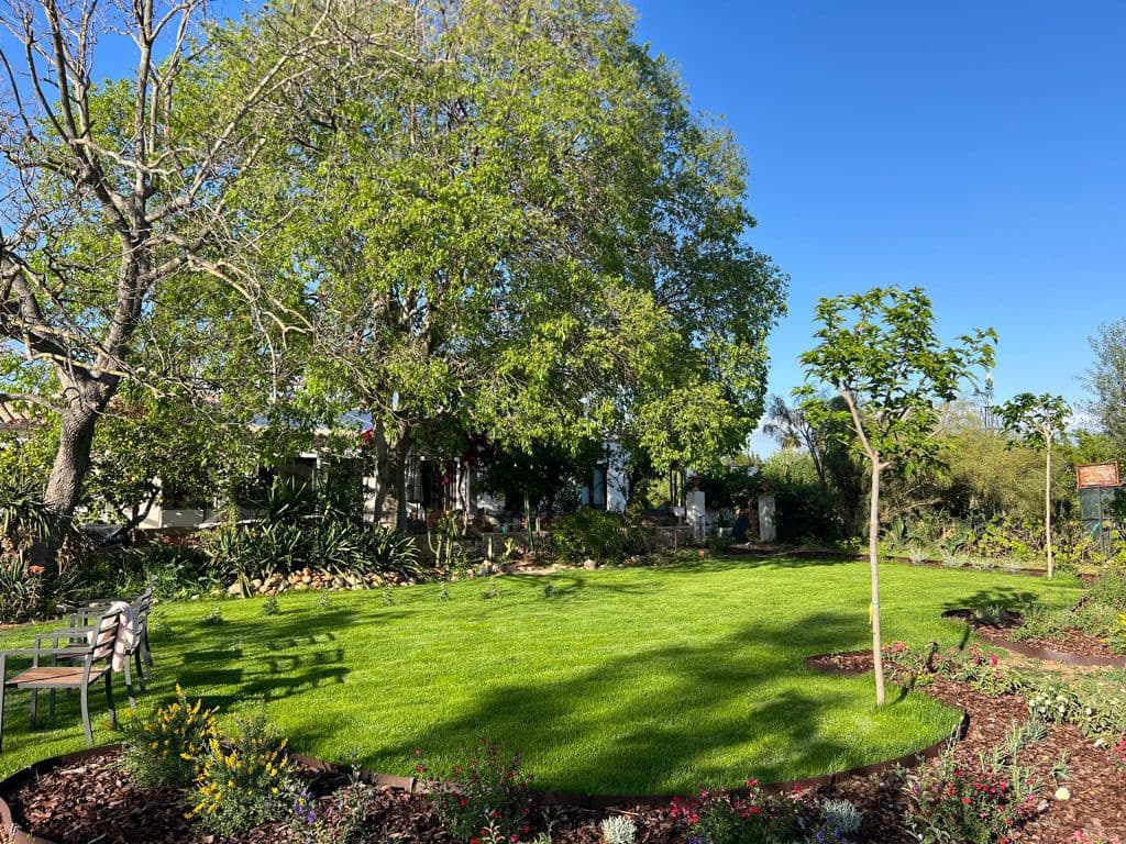 Finca/Casa Rural de 4 habitaciones en Palma de Mallorca en alquiler con piscina - 14.000 € (Ref: 9849855)