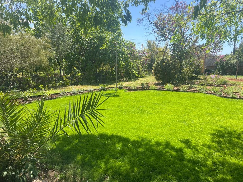 Finca/Casa Rural de 4 habitaciones en Palma de Mallorca en alquiler con piscina - 14.000 € (Ref: 9849855)