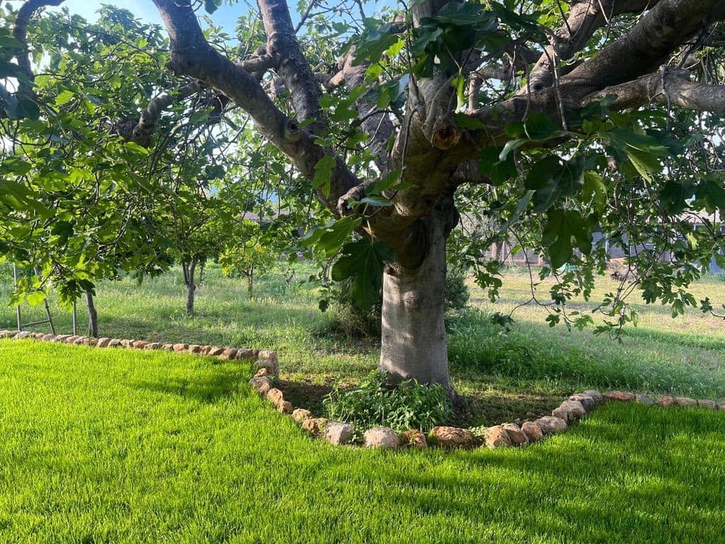 Finca/Casa Rural de 4 habitaciones en Palma de Mallorca en alquiler con piscina - 14.000 € (Ref: 9849855)