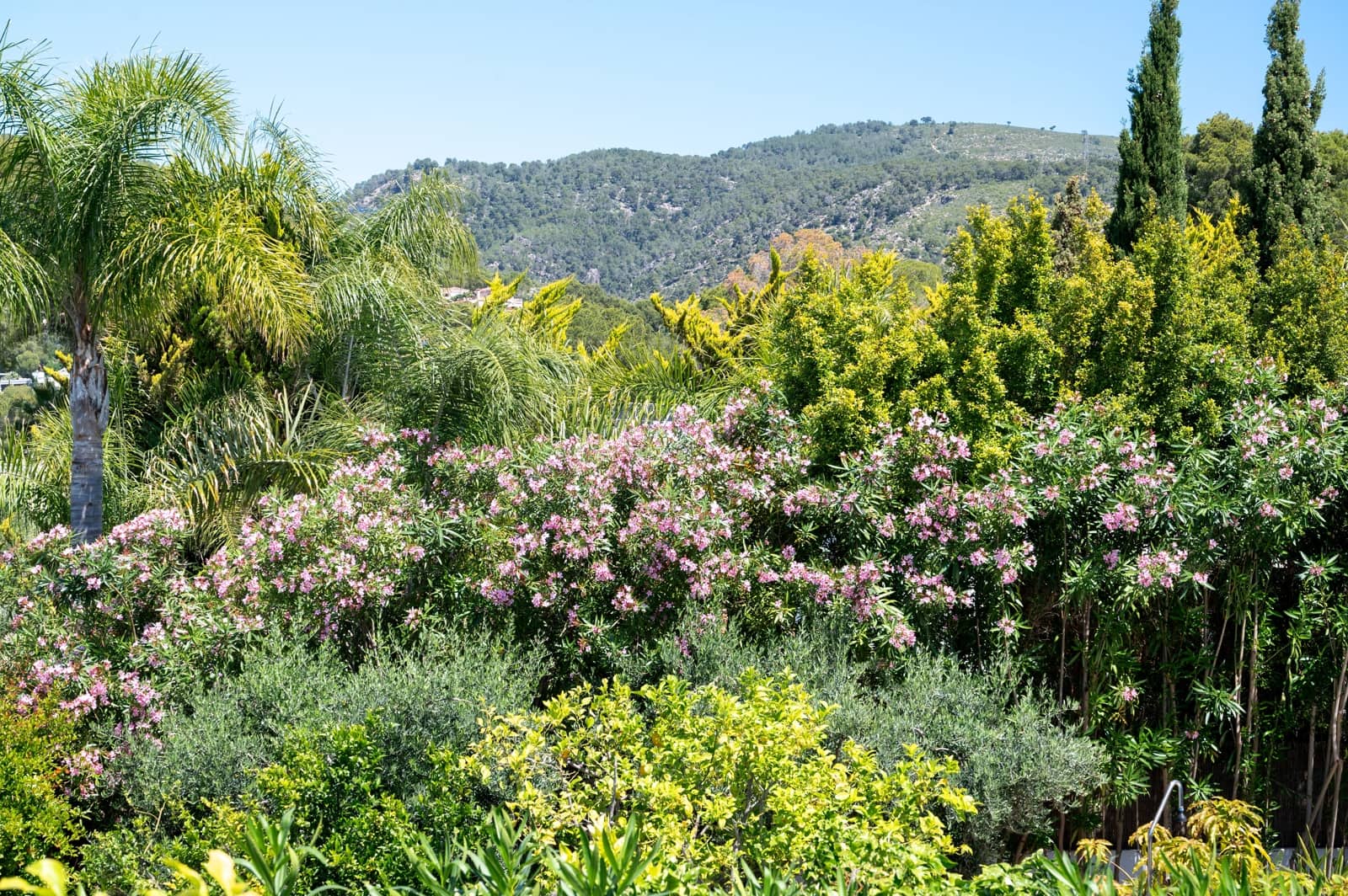 3 soveværelse Byhus til salg i Calvia - € 850.000 (Ref: 9867928)