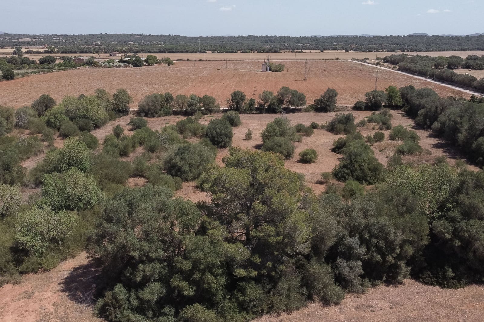 3 quarto Quinta/Casa Rural para venda em Campos - 1 400 000 € (Ref: 9898462)