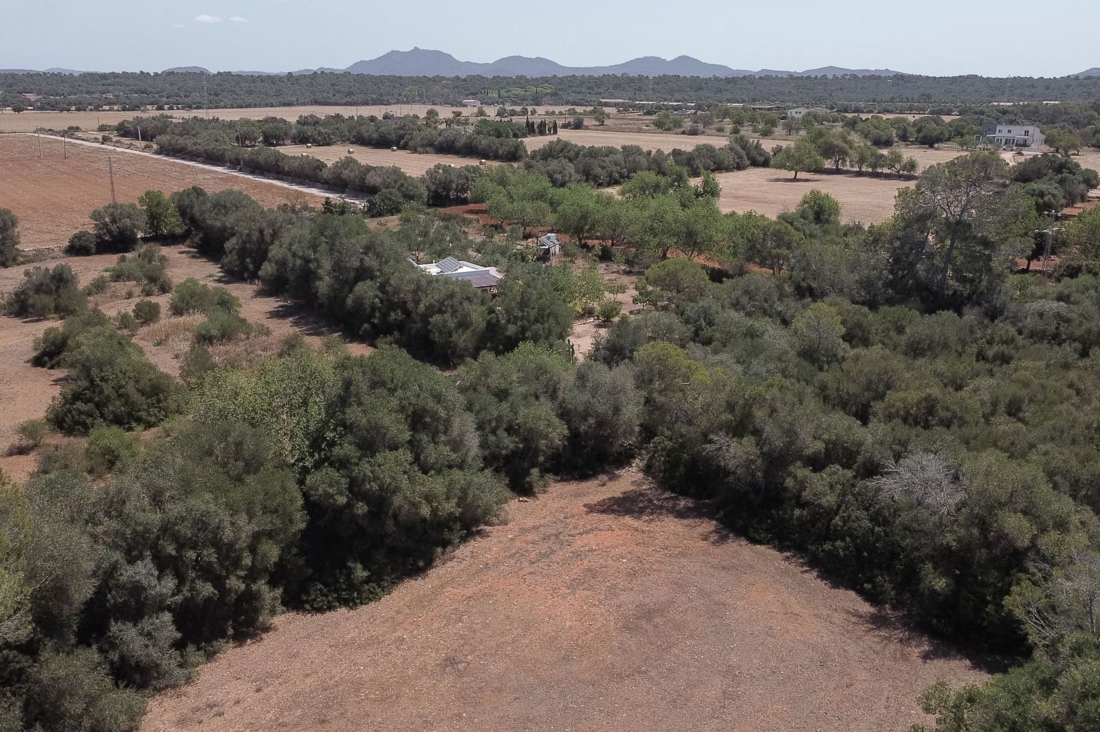 3 quarto Quinta/Casa Rural para venda em Campos - 1 400 000 € (Ref: 9898462)