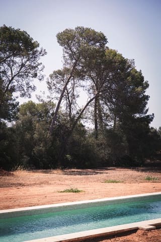 3 Zimmer Finca/Landgut zu verkaufen in Campos - 1.400.000 € (Ref: 9898462)