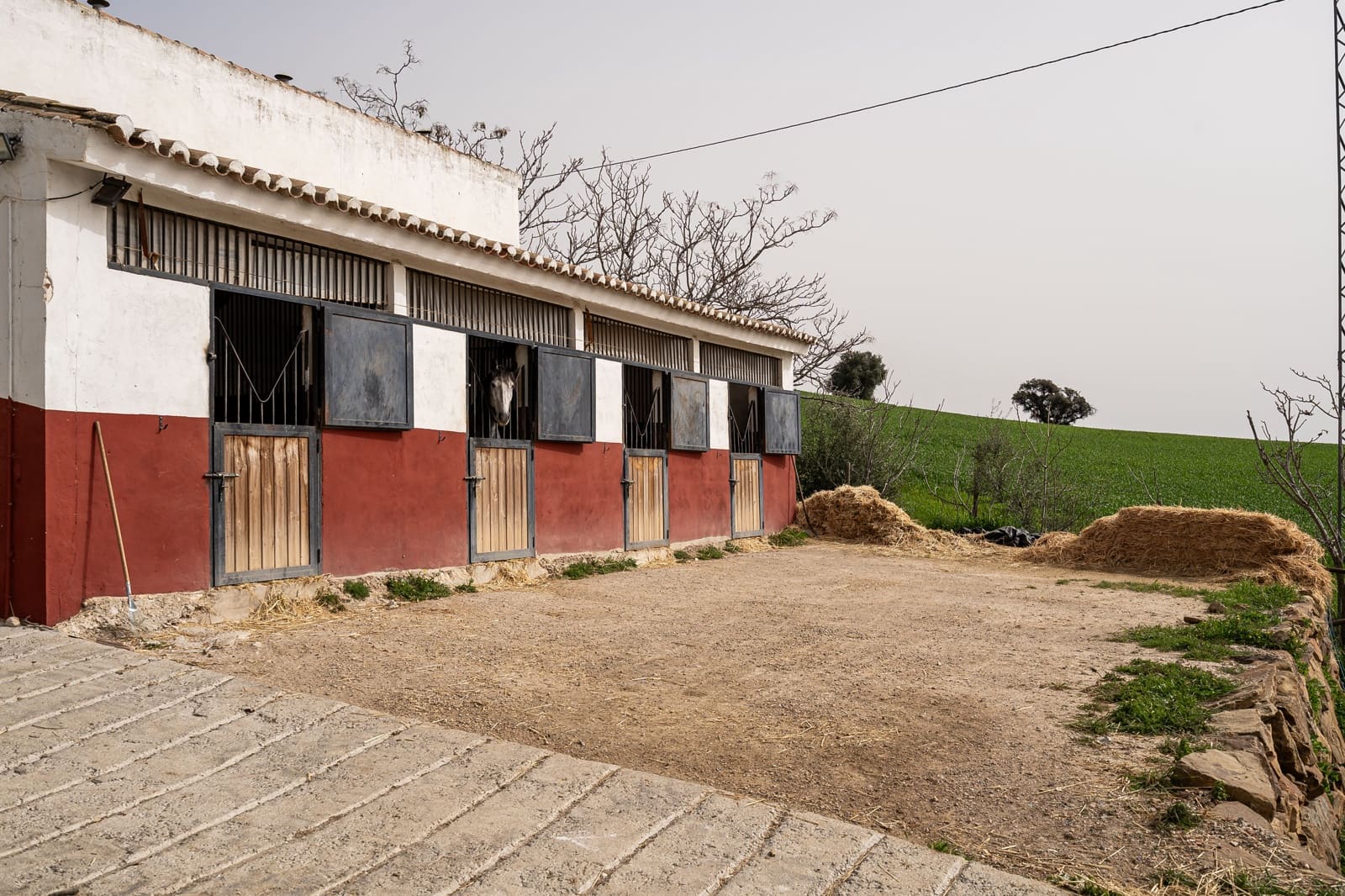 4 Zimmer Haus zu verkaufen in Villanueva de la Concepcion mit Pool - 1.500.000 € (Ref: 9915080)