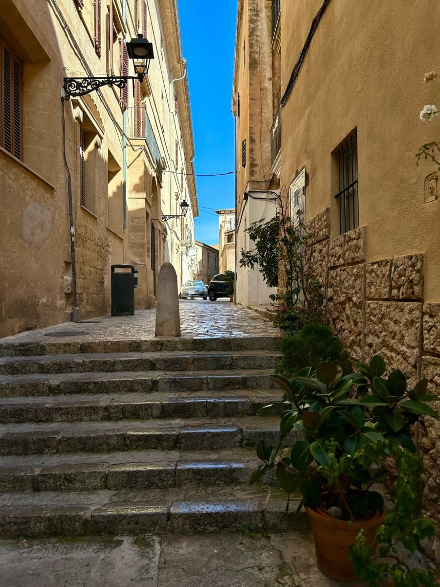 1 soverom Leilighet til leie i Palma de Mallorca - € 1 300 (Ref: 9918611)