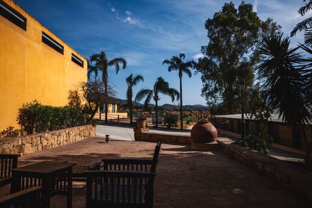 5 soveværelse Finca/Landehus til salg i Mijas Costa, Mijas - € 3.000.000 (Ref: 9920918)