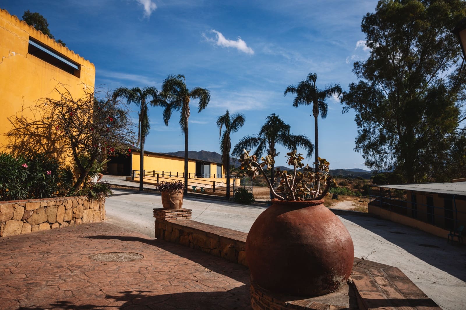 5 bedroom Finca/Country House for sale in Mijas Costa - € 3,000,000 (Ref: 9920918)
