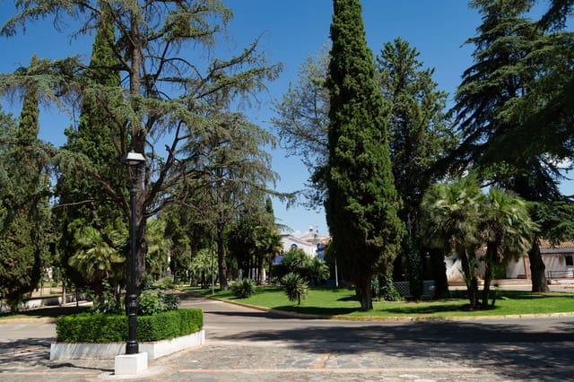 Byhus til salg i Granada by - € 219.000 (Ref: 9928886)