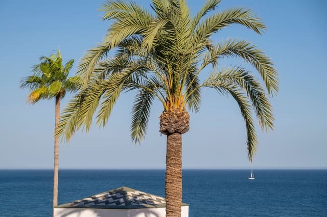 3 Zimmer Penthouse zu verkaufen in El Velerín, Estepona - 2.495.000 € (Ref: 9943843)