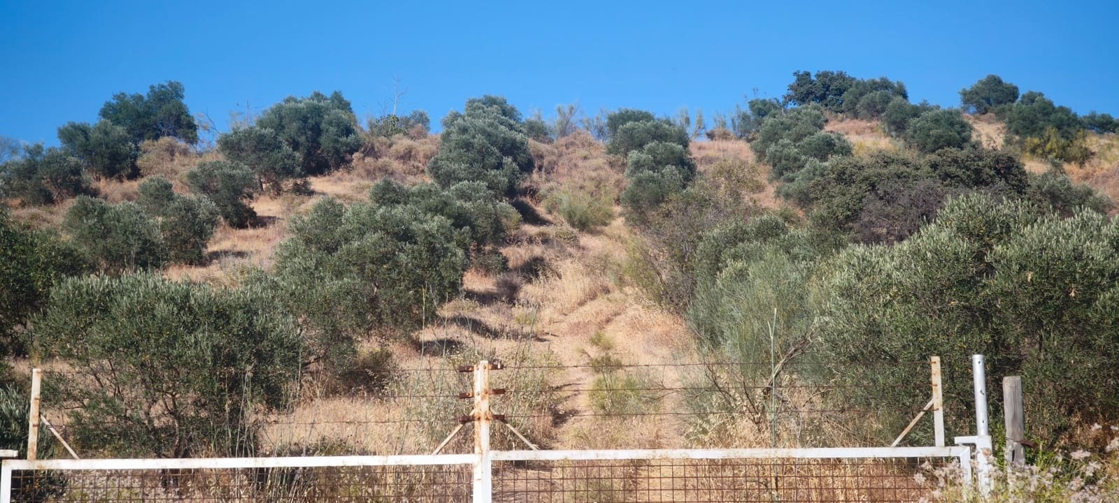 Townhouse for sale in Pizarra - € 59,680 (Ref: 9946584)