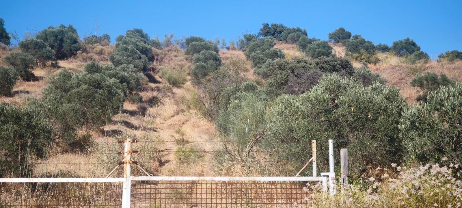 Townhouse for sale in Pizarra - € 59,680 (Ref: 9946584)