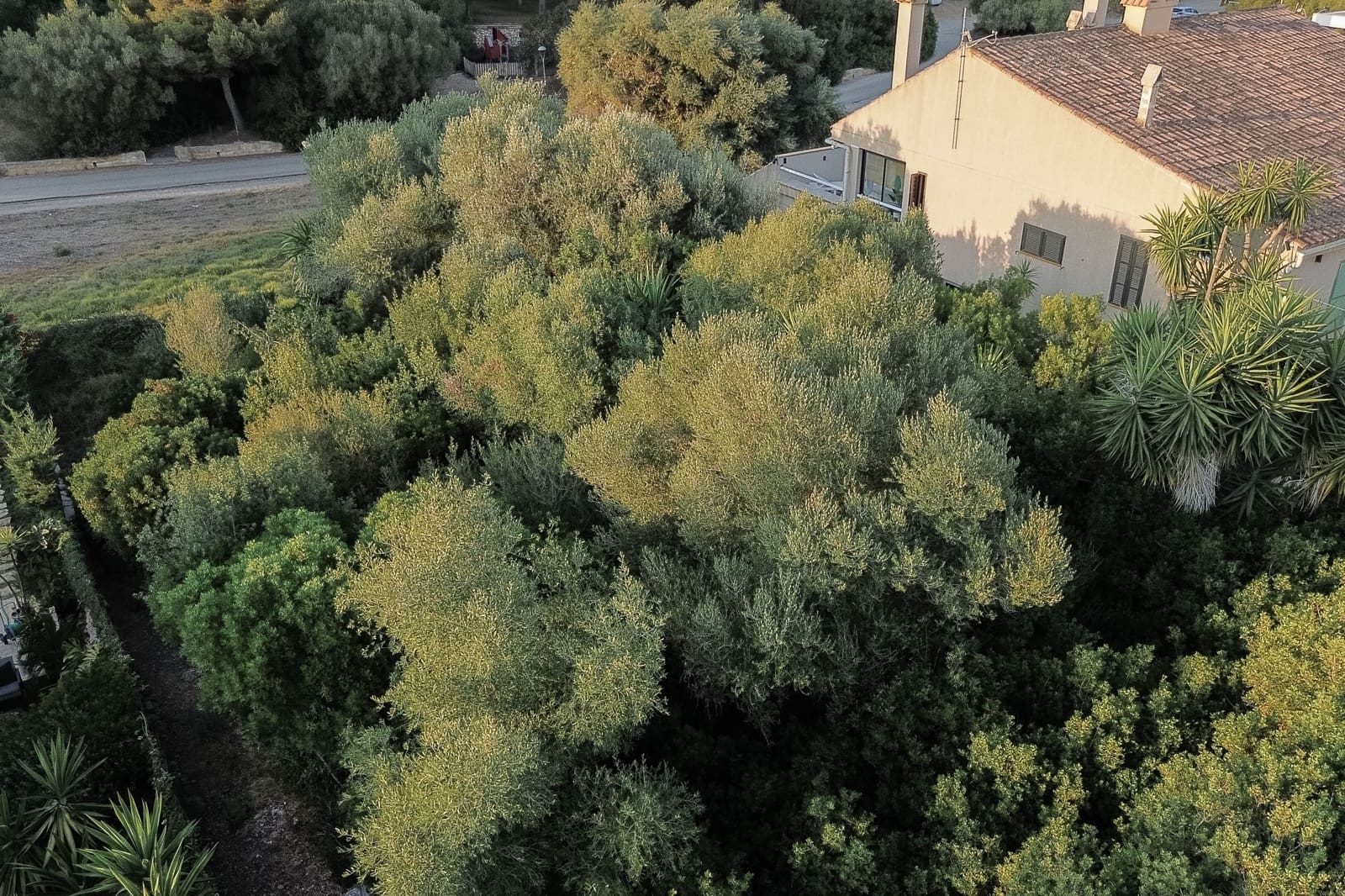 Hus til salgs i Manacor - € 290 000 (Ref: 9964515)