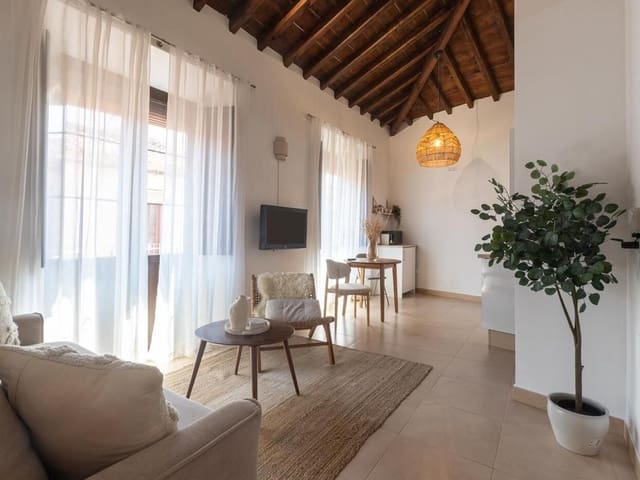 1 makuuhuone Huoneisto myytävänä paikassa Centro Historico, Málaga kaupunki - 360 000 € (Ref: 9967080)