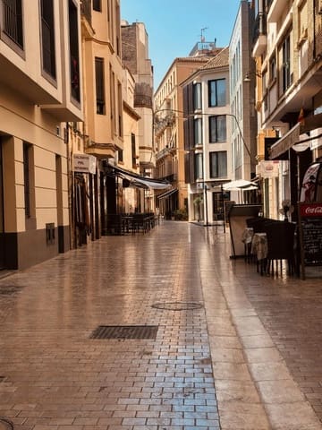 Local Comercial en Centro Historico, Málaga ciudad en venta - 650.000 € (Ref: 9987325)