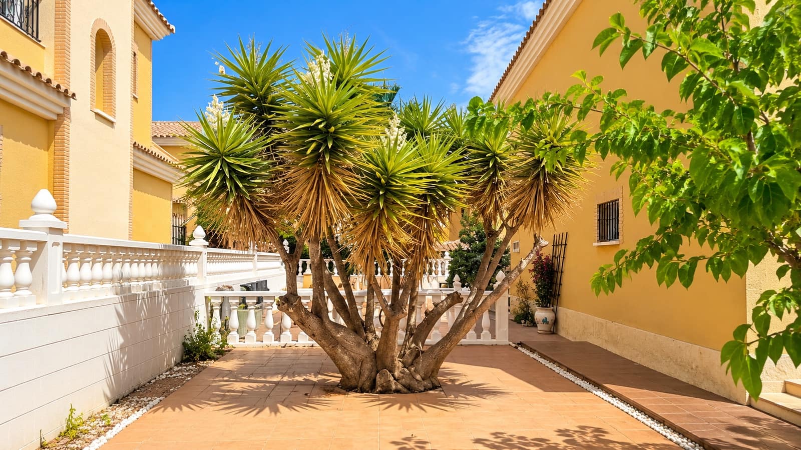 3 slaapkamer Villa te koop in Lo Crispin met zwembad - € 260.000 (Ref: 10163672)