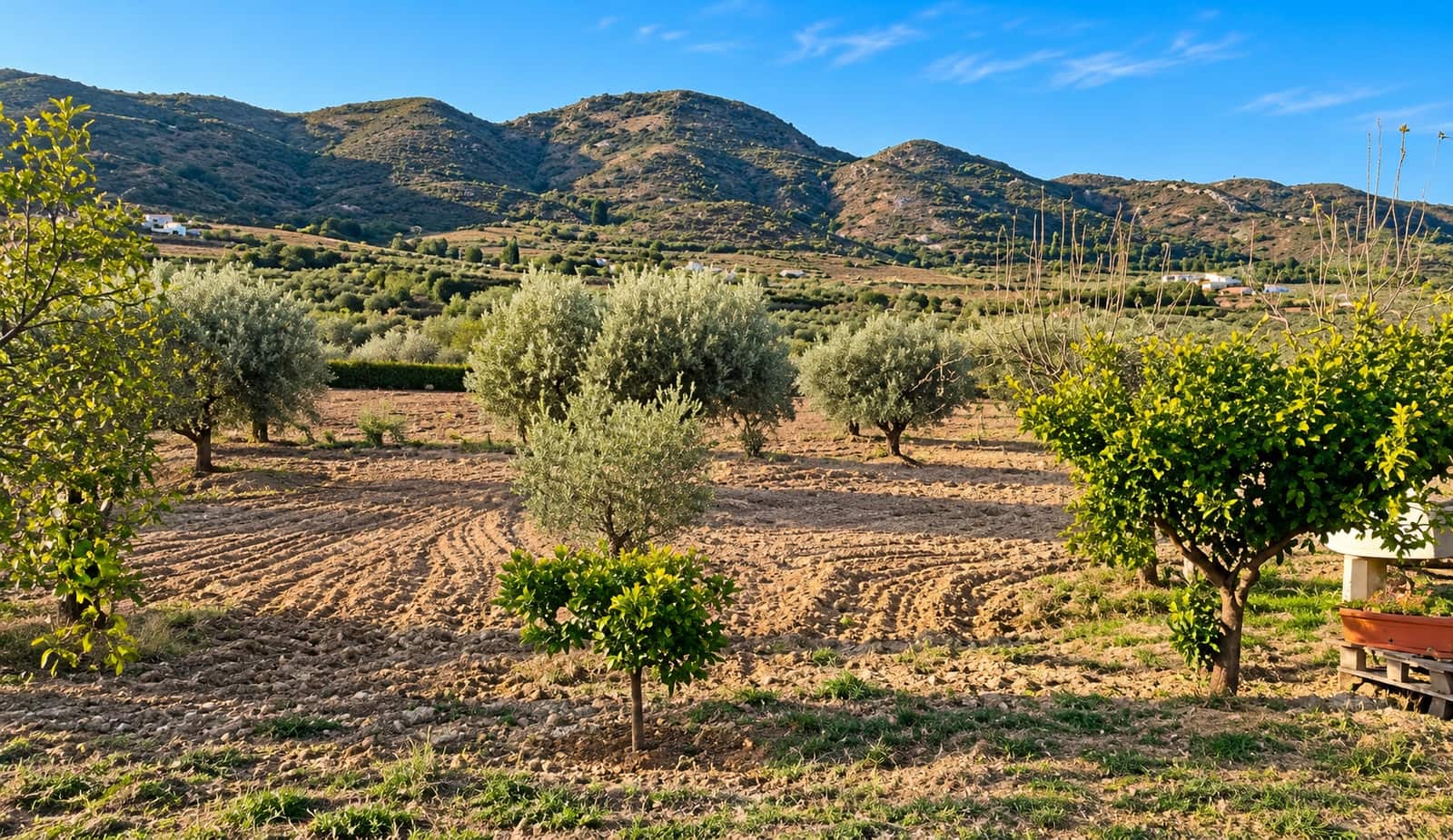 3 soveværelse Finca/Landehus til salg i Cartagena - € 190.000 (Ref: 10172124)