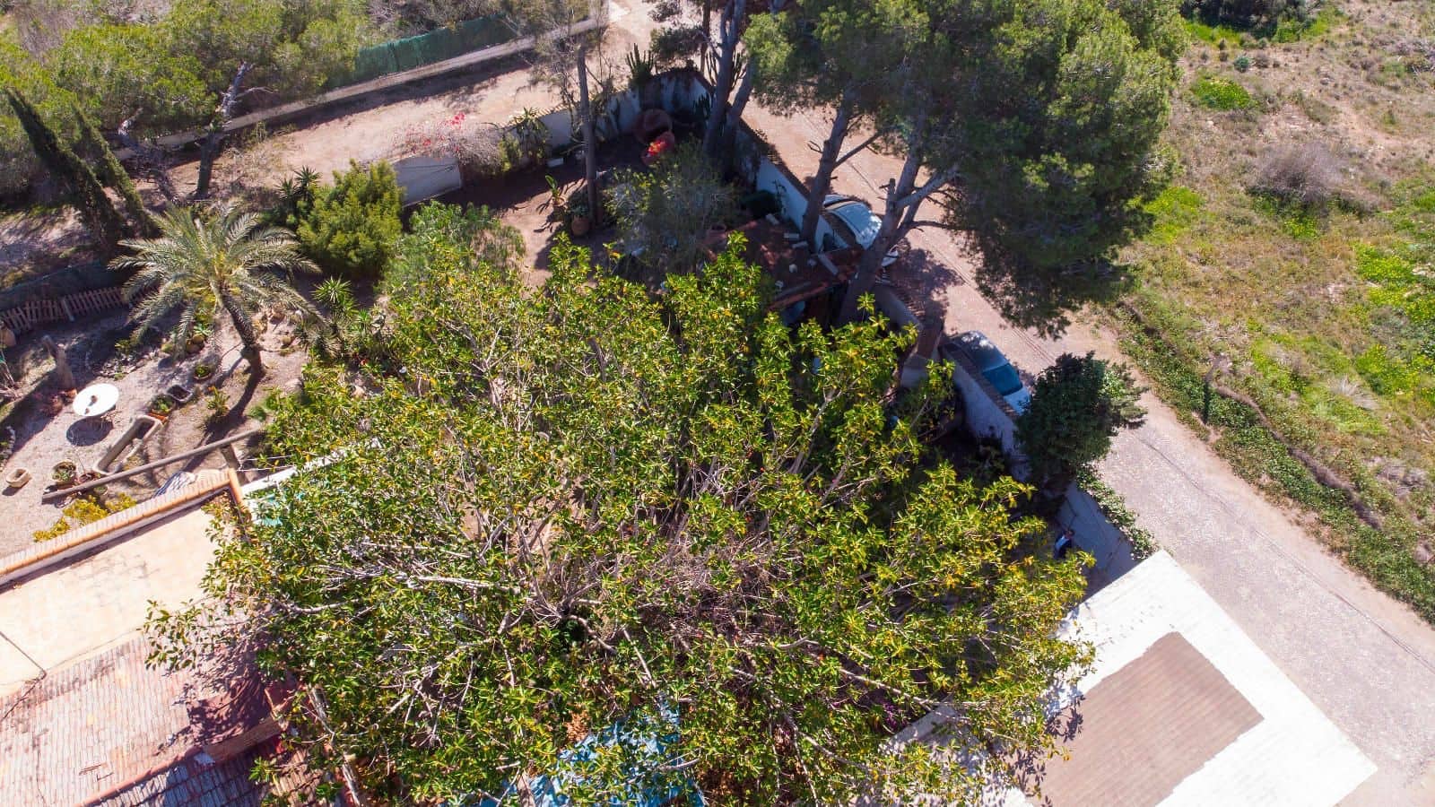 4 chambre Villa/Maison à vendre à Cabo Roig - 369 969 € (Ref: 9403887)