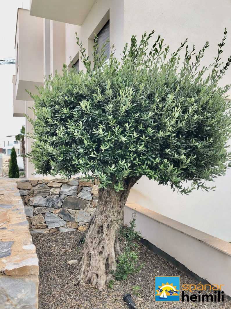 2 bedroom Apartment for sale in Las Colinas Golf with pool - € 325,000 (Ref: 9404056)