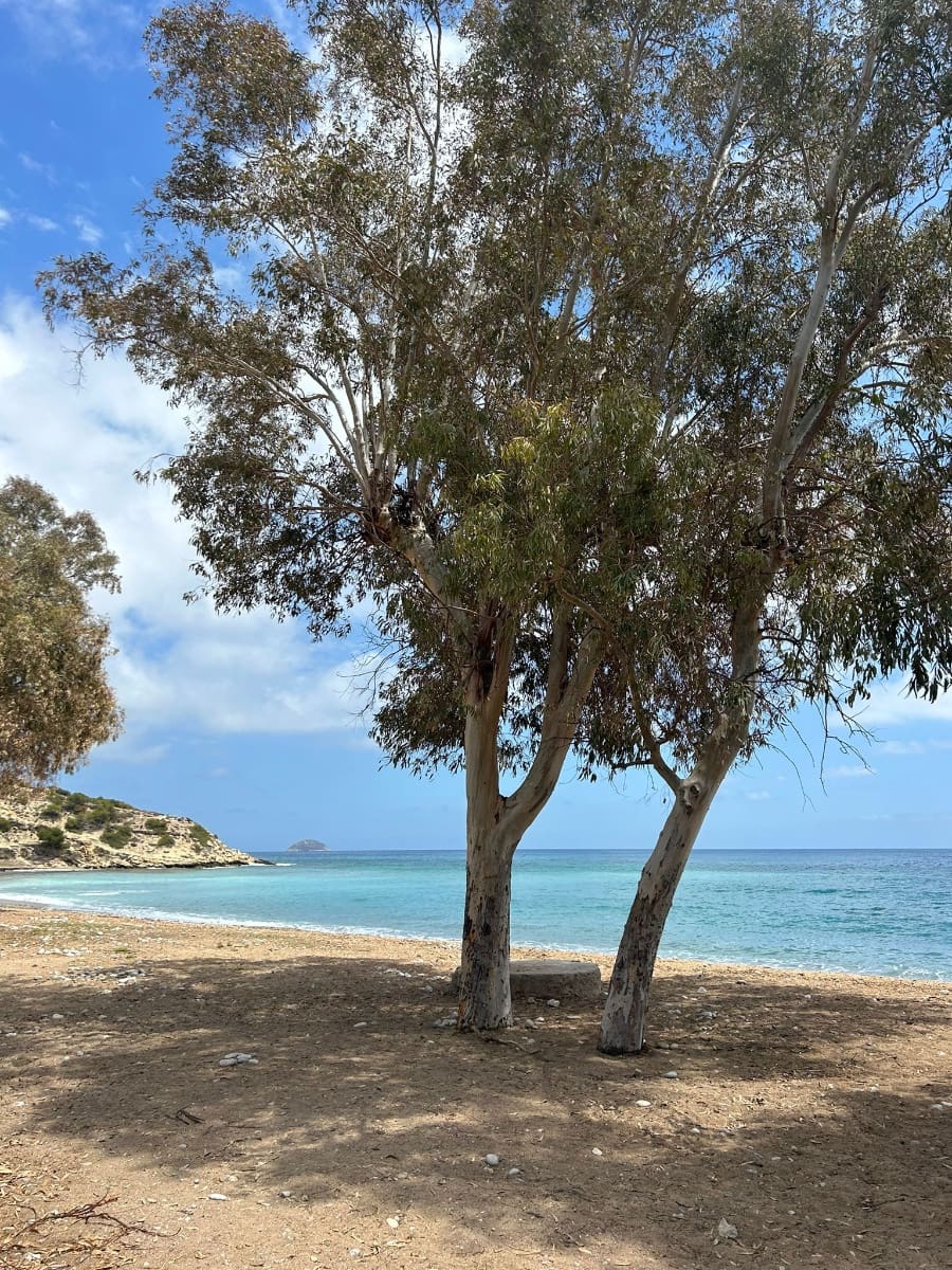 2 sovrum Lägenhet till salu i La Villajoyosa / Vila Joiosa med pool - 326 000 € (Ref: 9404121)