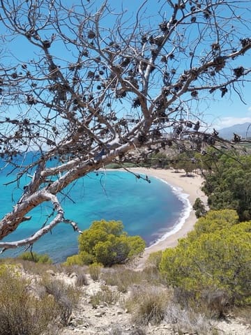 2 sovrum Lägenhet till salu i Platja Vila Joiosa - Platja de Torres, La Villajoyosa / Vila Joiosa med pool - 326 000 € (Ref: 9404121)