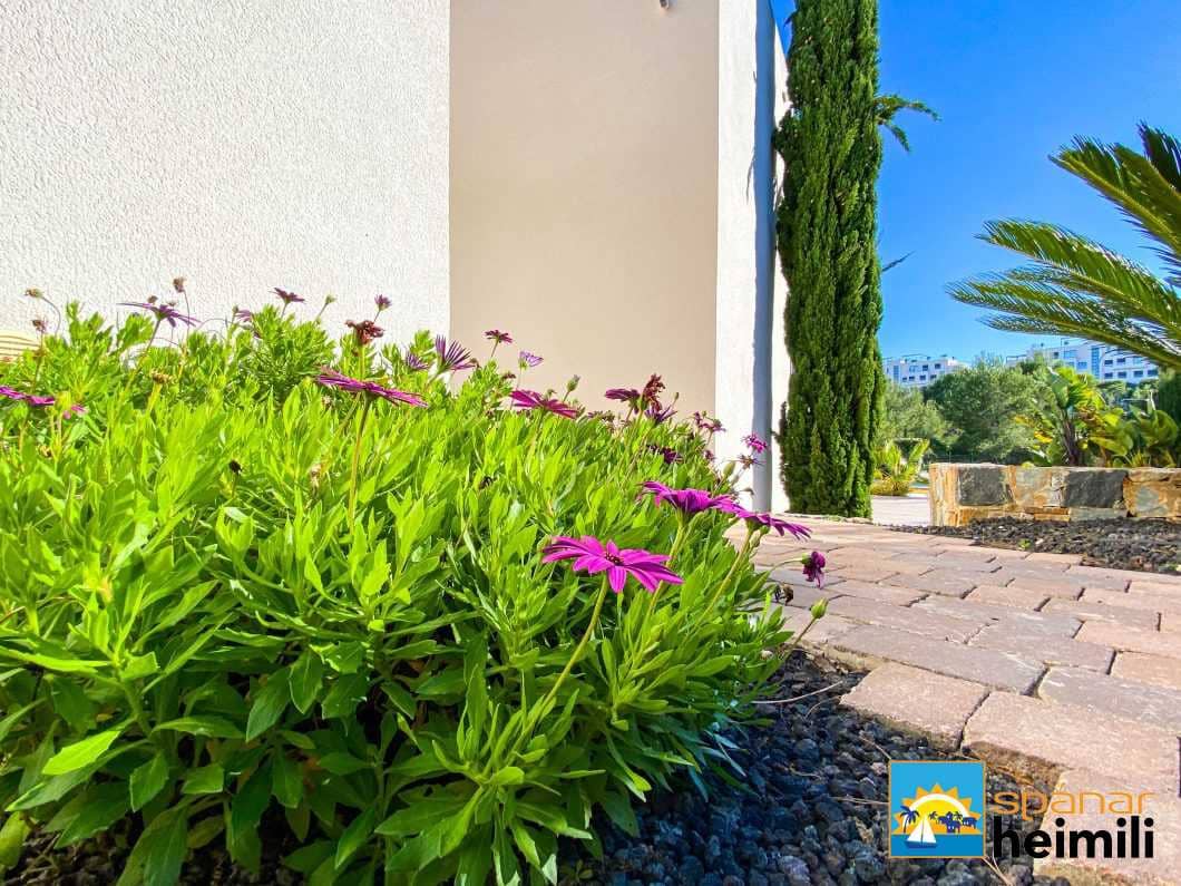 3 bedroom Villa for sale in Las Colinas Golf with pool - € 649,000 (Ref: 9404223)