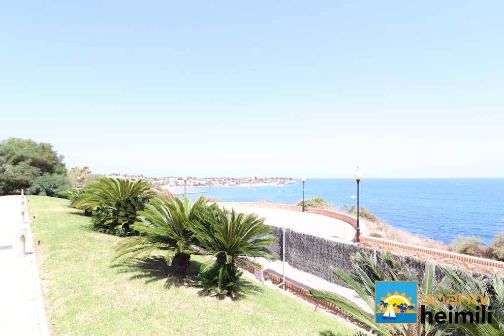 4 makuuhuone Omakotitalo myytävänä paikassa Cabo Roig mukana uima-altaan - 504 000 € (Ref: 9404284)