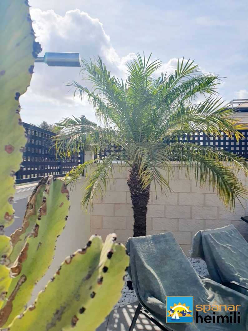 3 bedroom Villa for sale in Dona Pepa with pool - € 375,000 (Ref: 9404291)