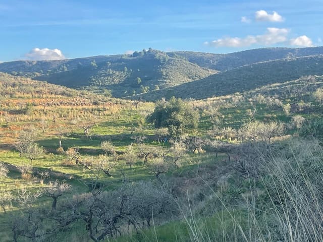 Teren niezagospodarowany na sprzedaż w Perin, Kartagena - 149 000 € (Ref: 9631839)