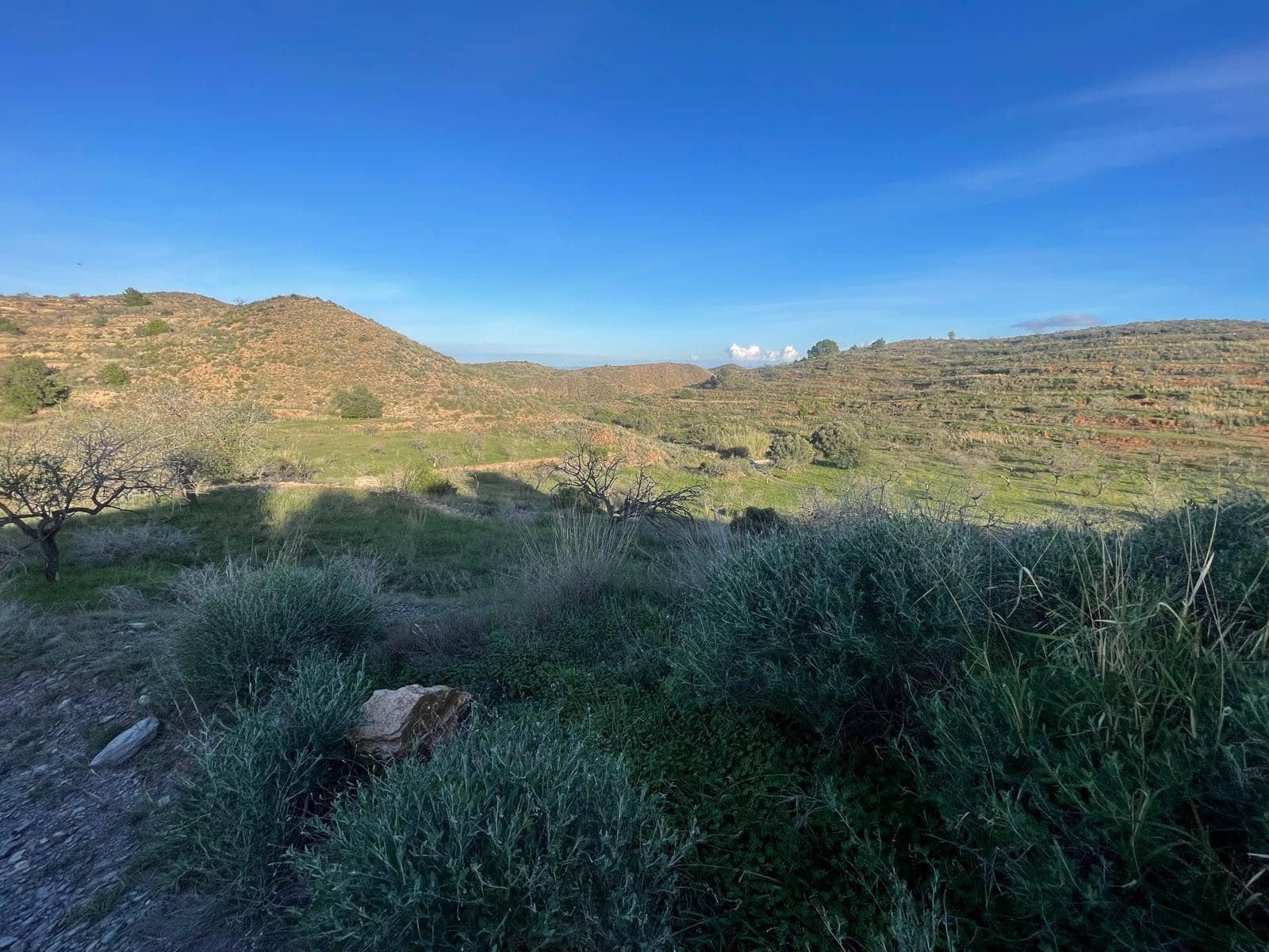 Teren niezagospodarowany na sprzedaż w Perin - 149 000 € (Ref: 9631839)