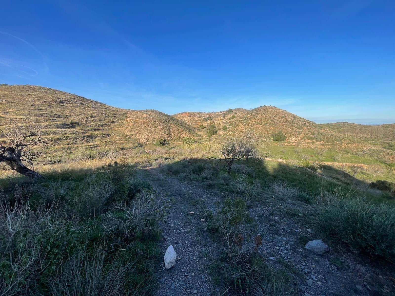 Teren niezagospodarowany na sprzedaż w Perin - 149 000 € (Ref: 9631839)