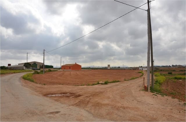 Mark till salu i El Albujon, Cartagena - 149 000 € (Ref: 9631840)