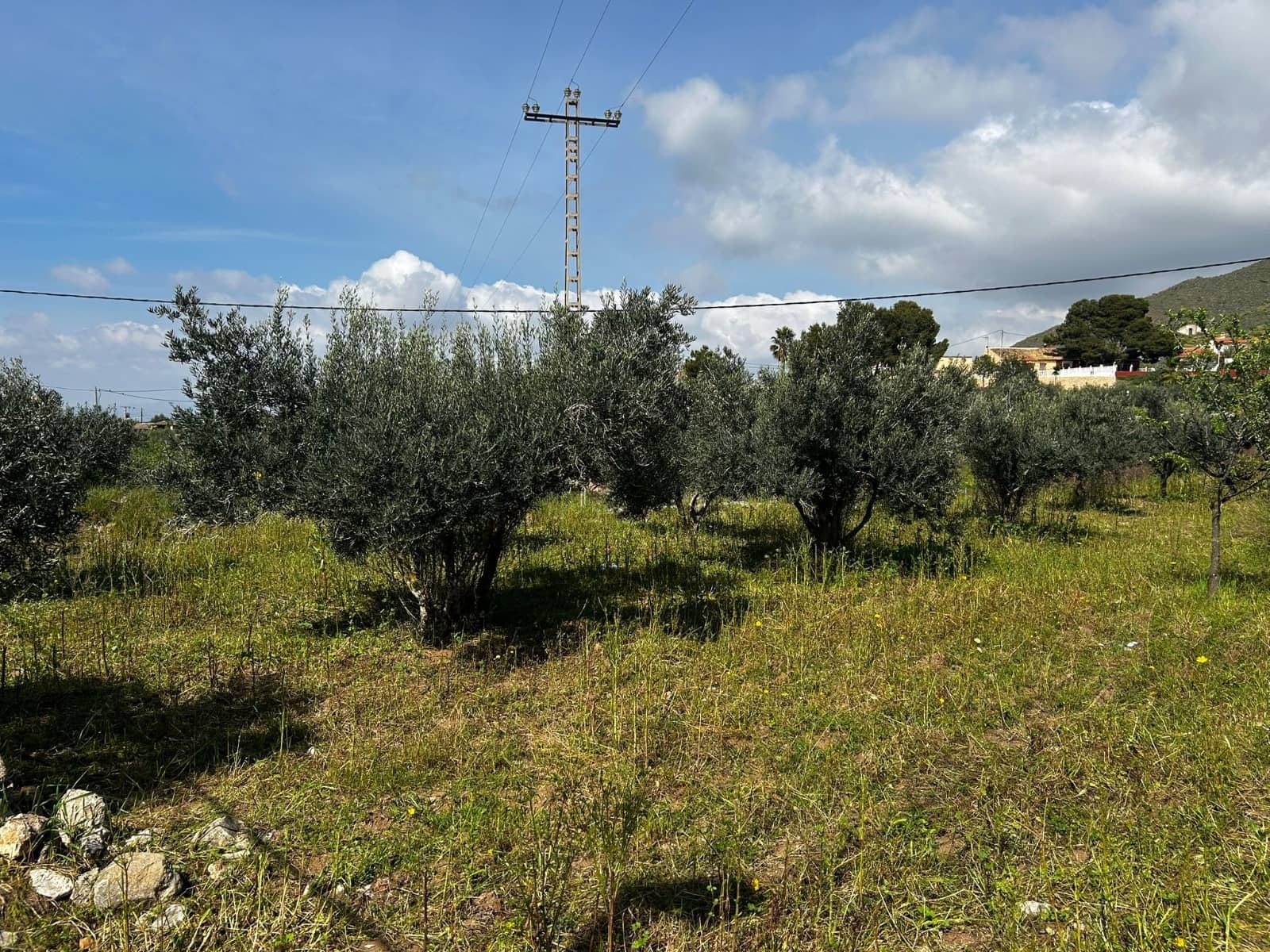 1 slaapkamer Finca/Landhuis te koop in Tallante met zwembad - € 350.000 (Ref: 9687639)