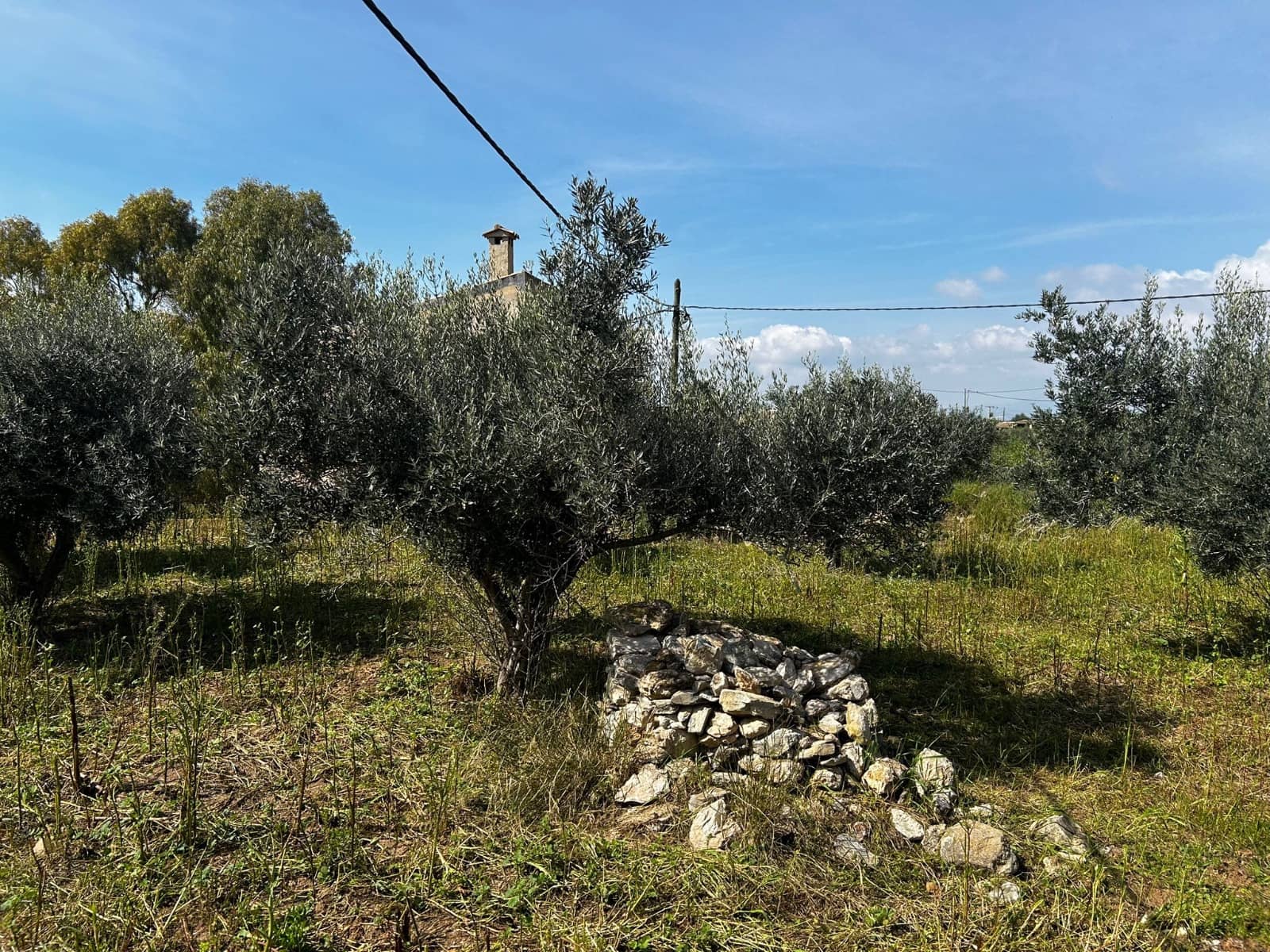 1 slaapkamer Finca/Landhuis te koop in Tallante met zwembad - € 350.000 (Ref: 9687639)