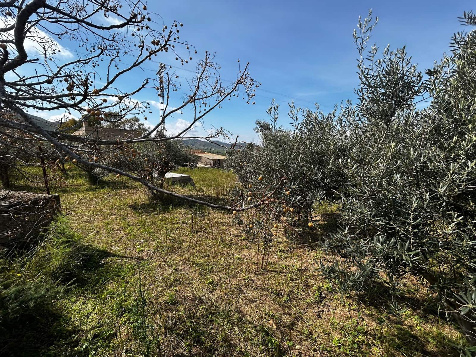 1 slaapkamer Finca/Landhuis te koop in Tallante met zwembad - € 350.000 (Ref: 9687639)